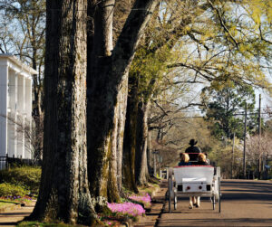 Columbus Historic District in Columbus, Mississippi