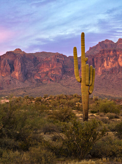 Sunset in the Sonoran Desert near the Superstition Mountains in Arizona.