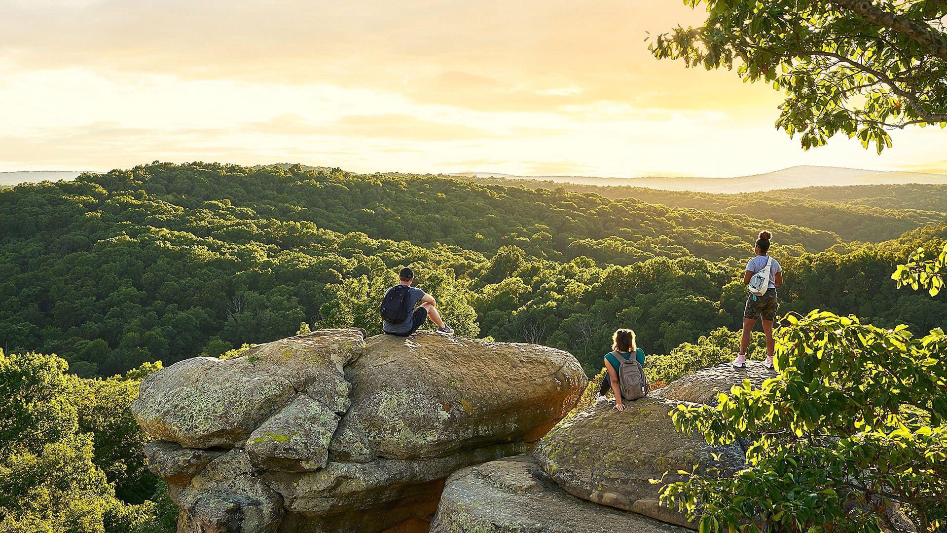 Garden of the Gods nella Shawnee National Forest, Illinois