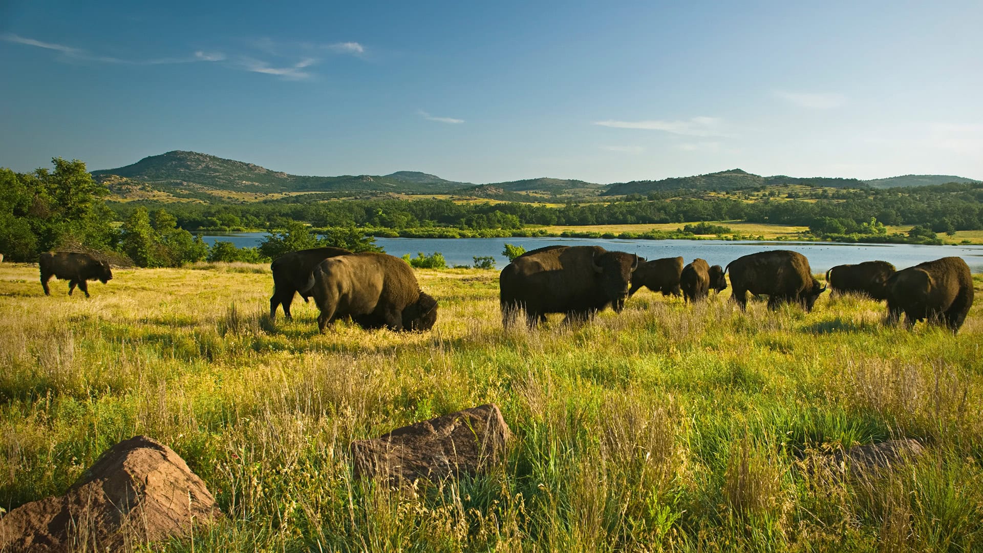 Wichita Mountains Wildlife Refuge in Oklahoma