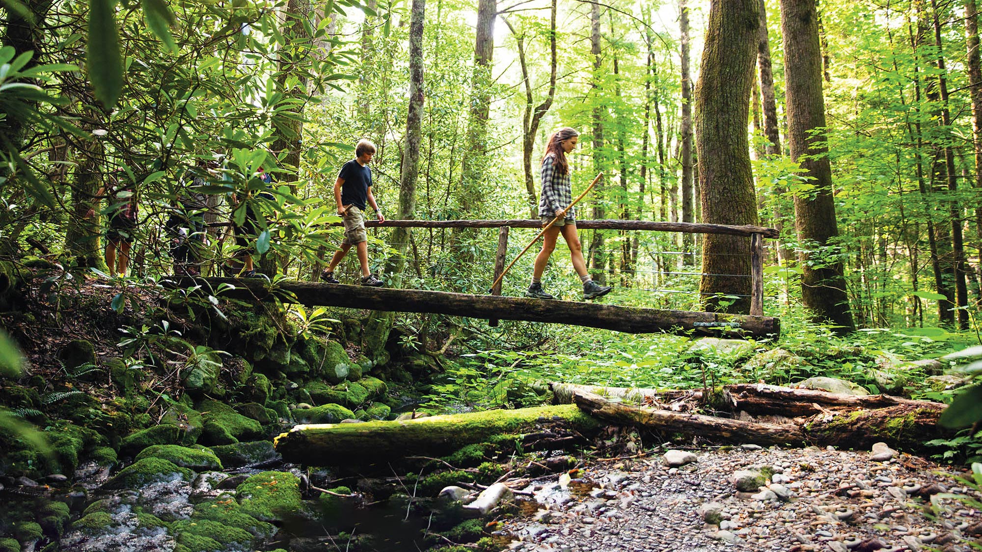 Fare escursioni sulle Great Smoky Mountains, Tennessee