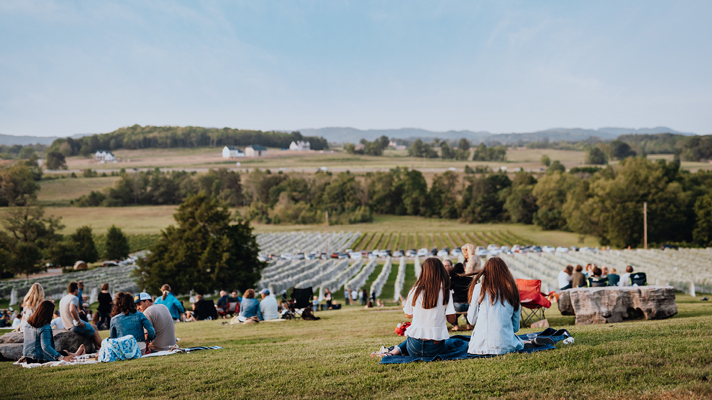 Picknicken in den Arrington Vineyards in Franklin, Tennessee; Credit: Nathan Zucker