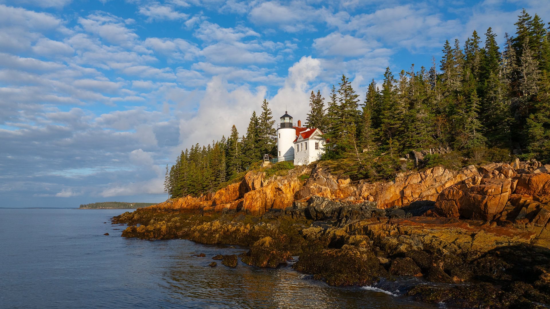 Faro di Bass Harbor Head su scogliere rocciose nel Parco Nazionale di Acadia, Maine
