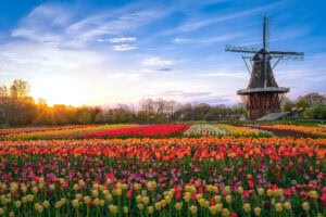 Windmill Island Gardens in Holland, Michigan; Credit: Abhishek Chandra