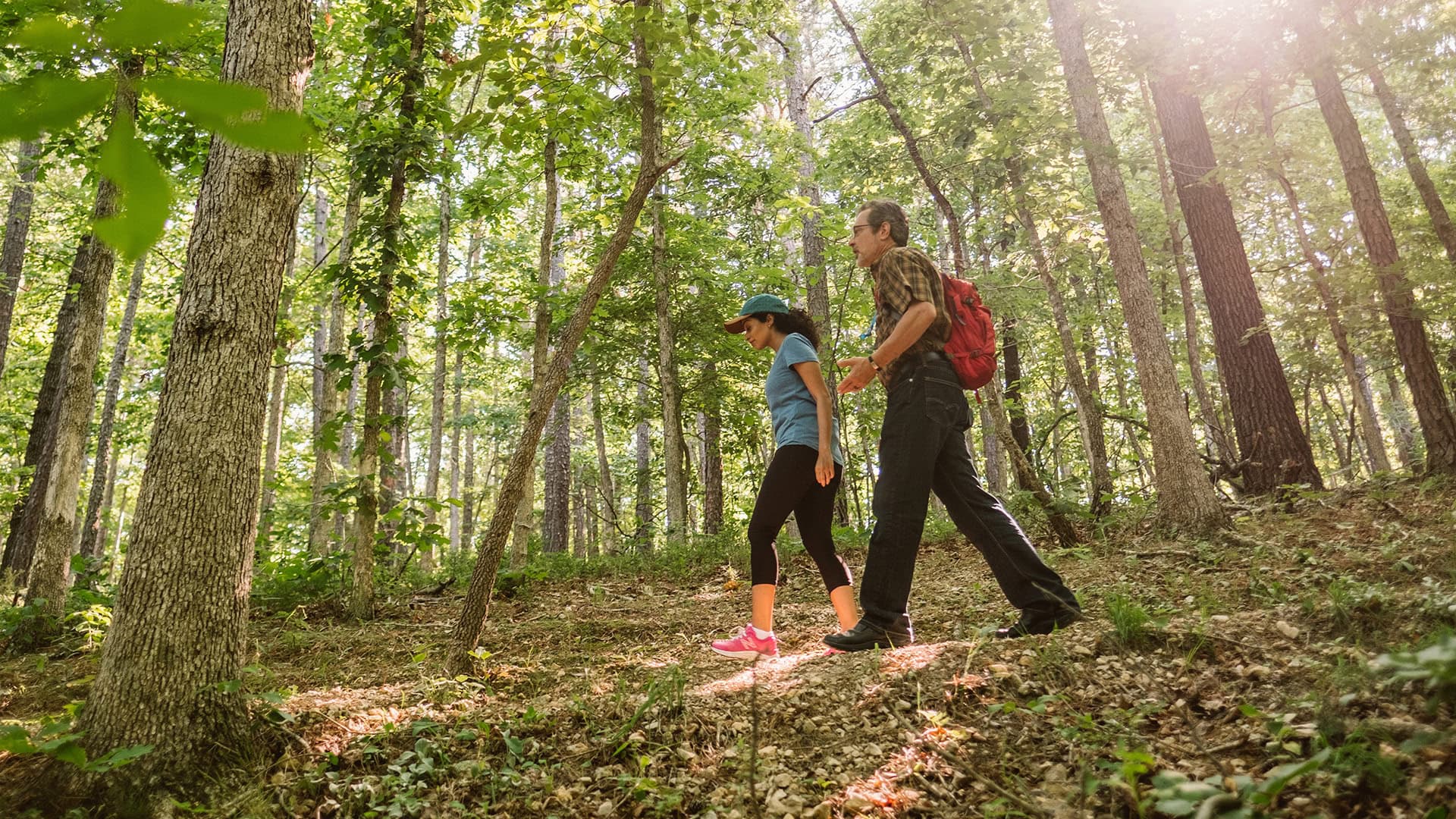 Randonnée dans la zone de conservation du parc d'État Hobbs, dans le nord-ouest de l'Arkansas.