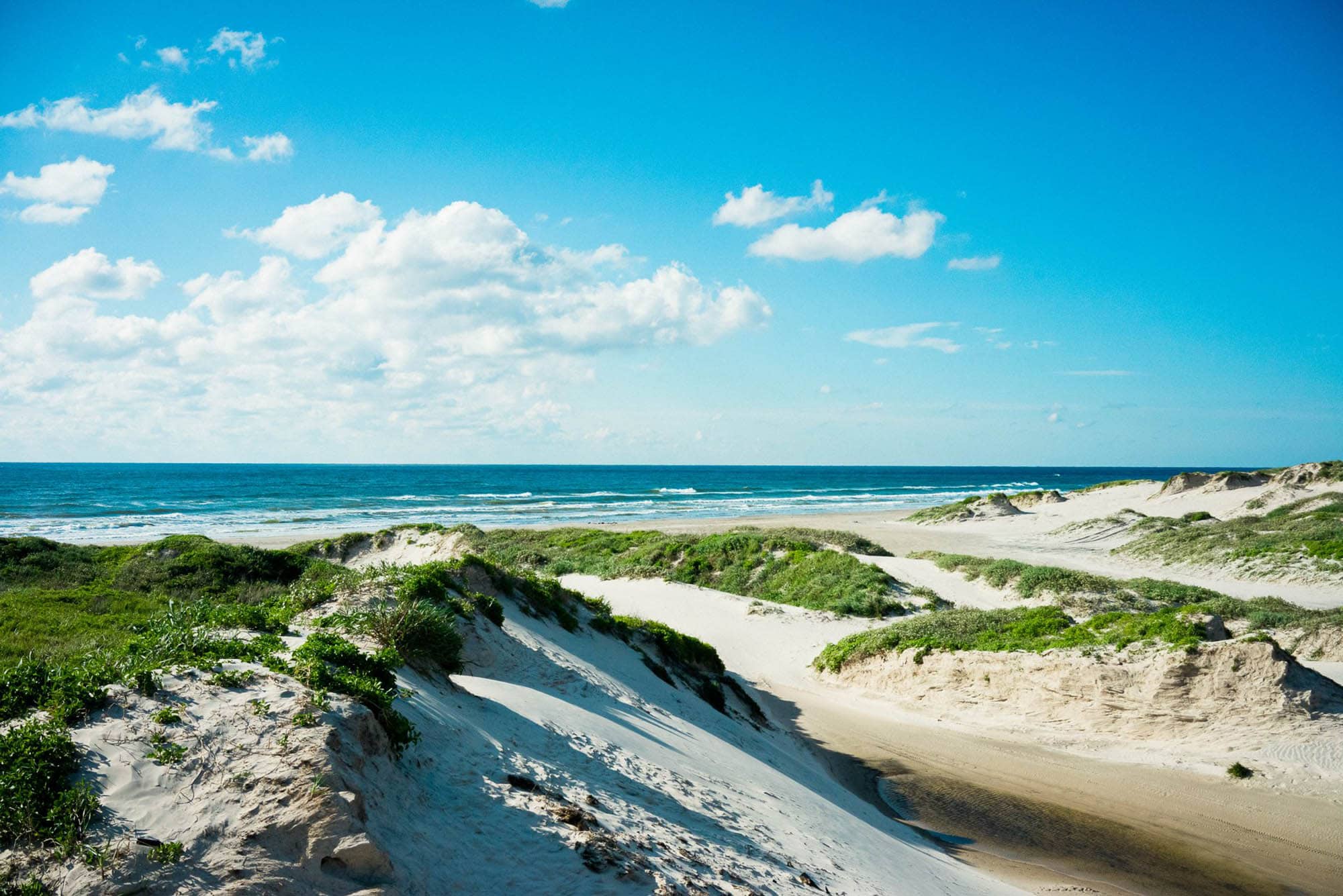 Padre Island National Seashore in Corpus Christi, Texas; Bildnachweis: Visit Corpus Christi