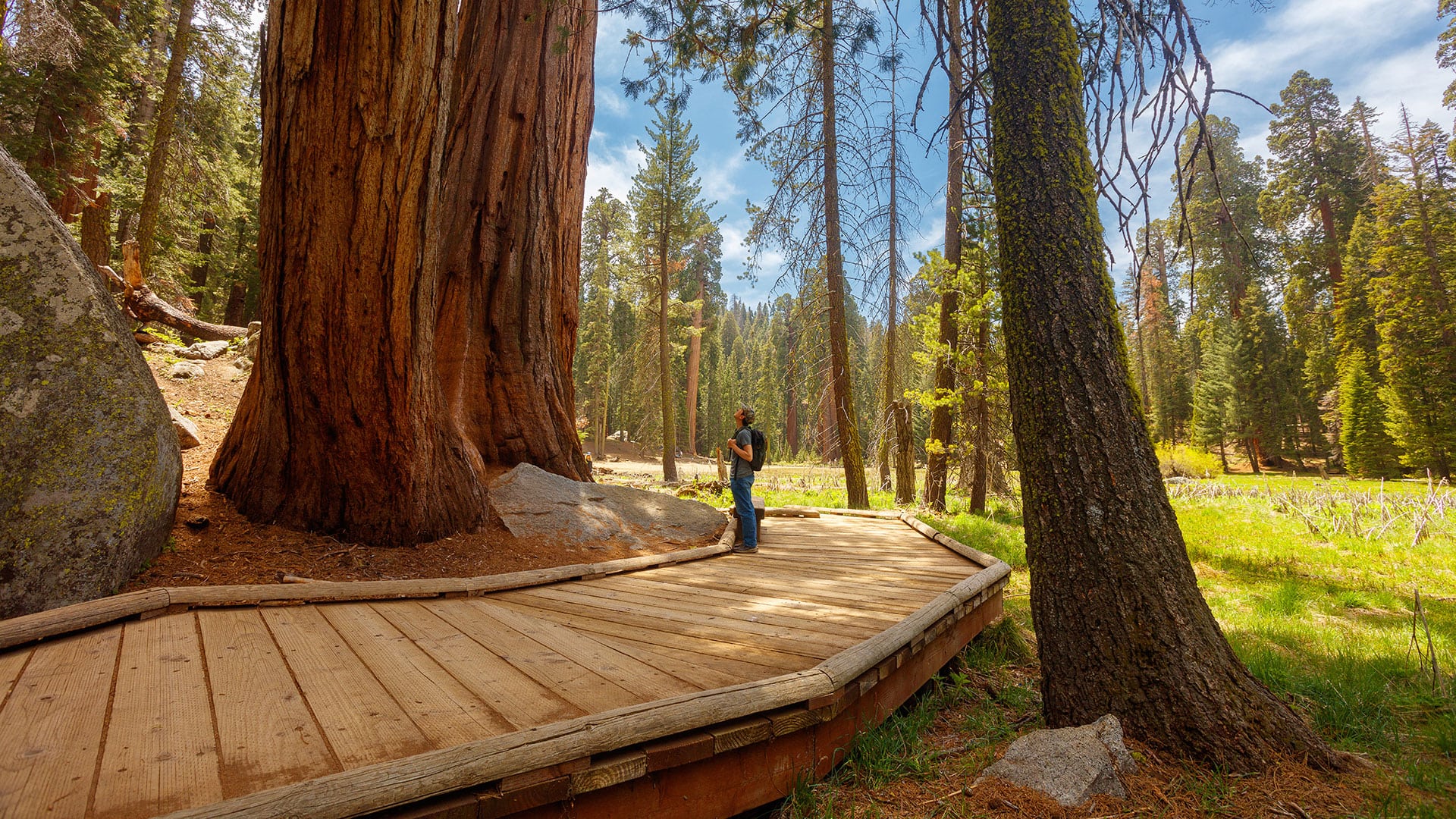 Senderismo en el Parque Nacional de la Secuoyas cerca de Visalia, California; Crédito: Daniel Chui